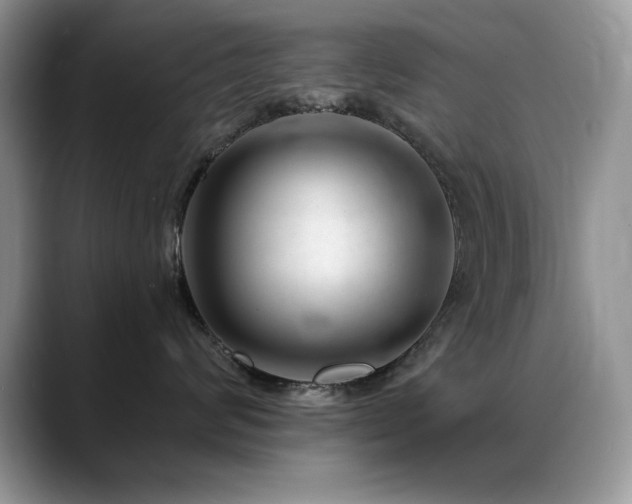 X0000088900624200706081307