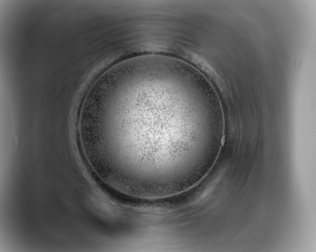 X0000088900625200706081306