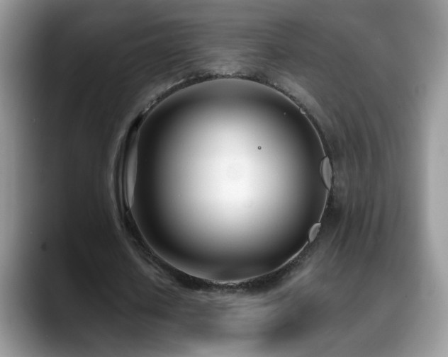 X0000088900626200706081306