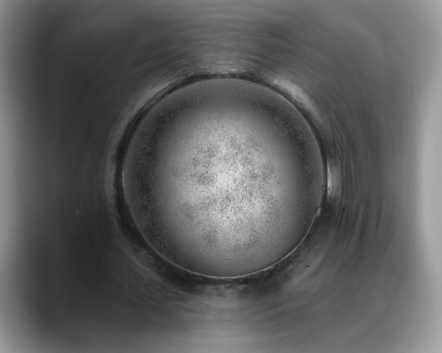 X0000088900627200706081306