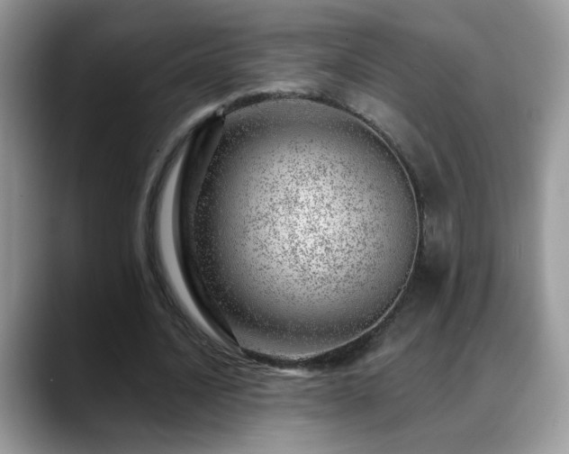 X0000088900628200706081306