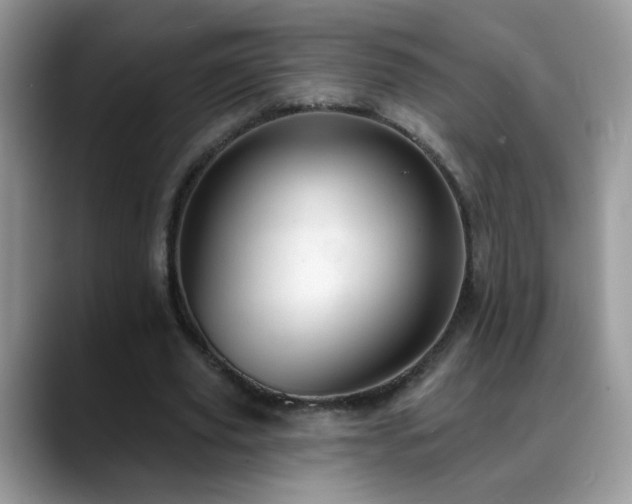 X0000088900629200706081306