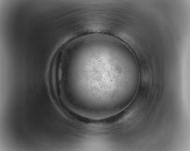 X0000088900630200706081306