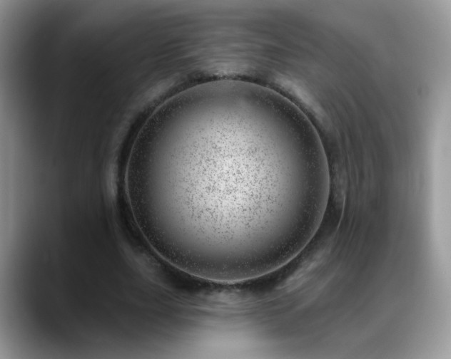 X0000088900631200706081306