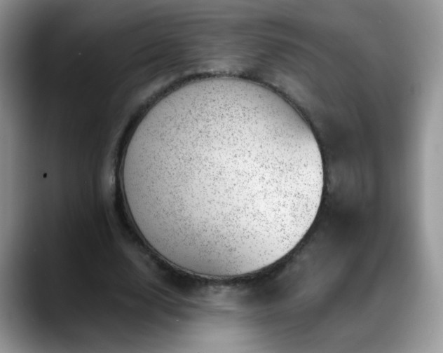 X0000088900632200706081306
