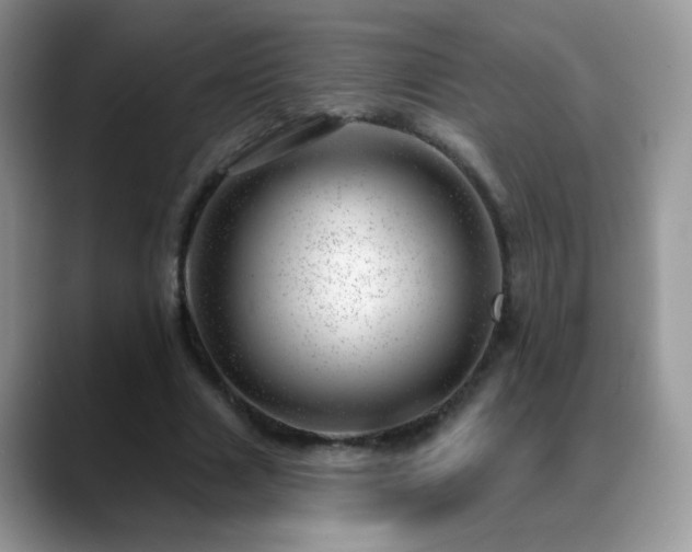 X0000088900633200706081306