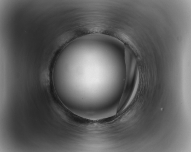 X0000088900634200706081306