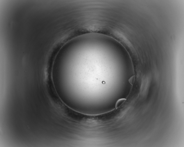 X0000088900635200706081306