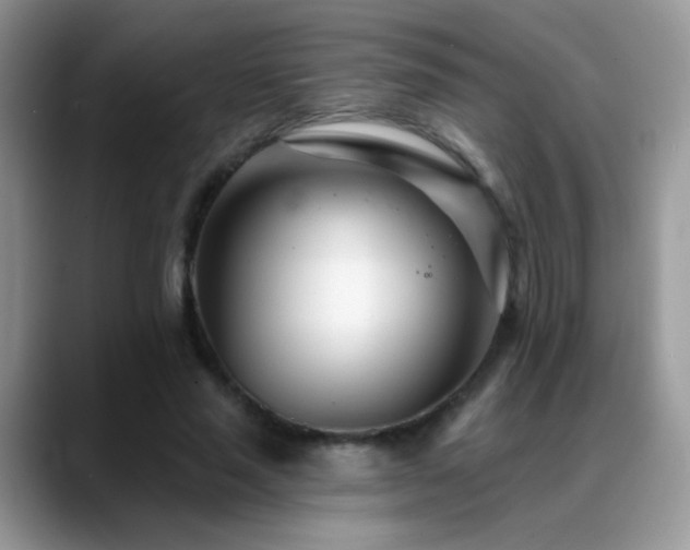 X0000088900637200706081306