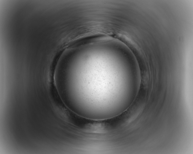 X0000088900639200706081306