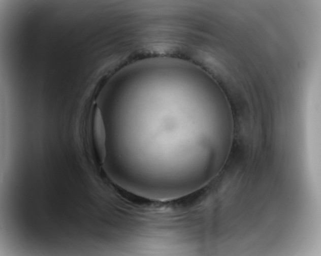 X0000088900640200706081306