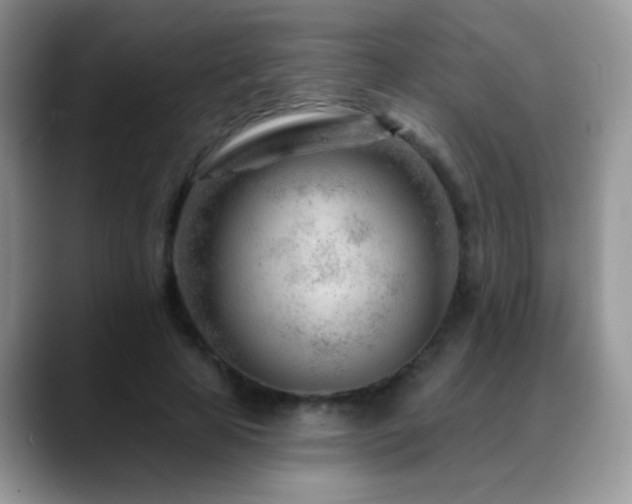 X0000088900641200706081306