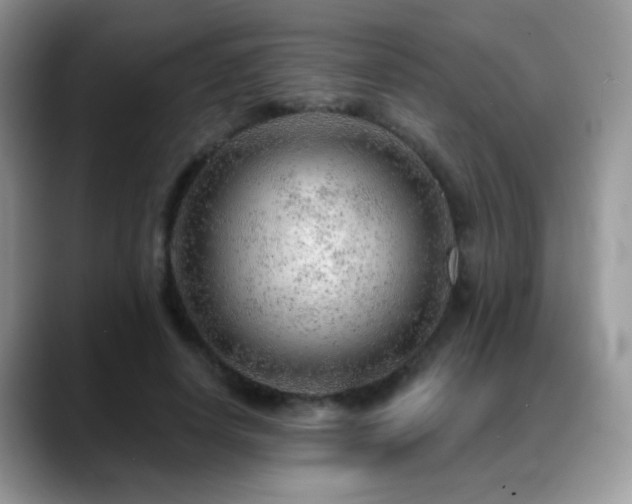 X0000088900642200706081306