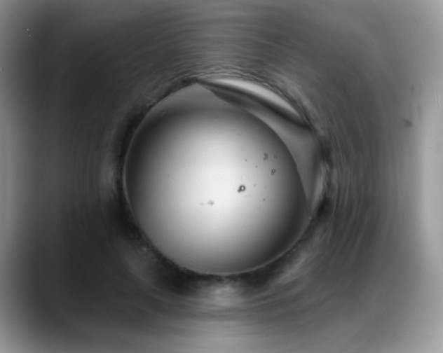 X0000088900643200706081306