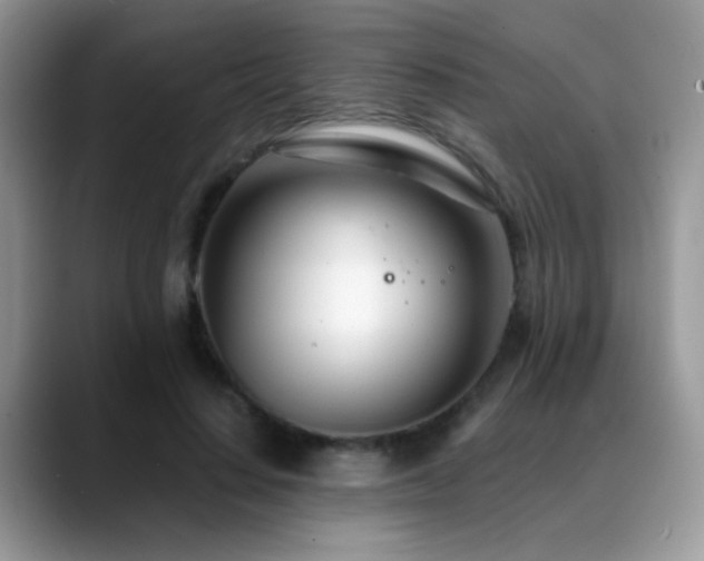 X0000088900644200706081306