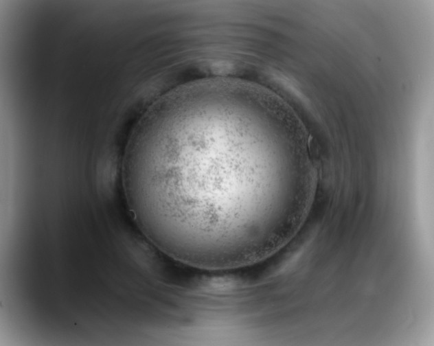 X0000088900645200706081306