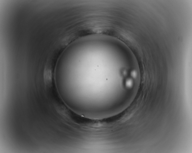 X0000088900646200706081306