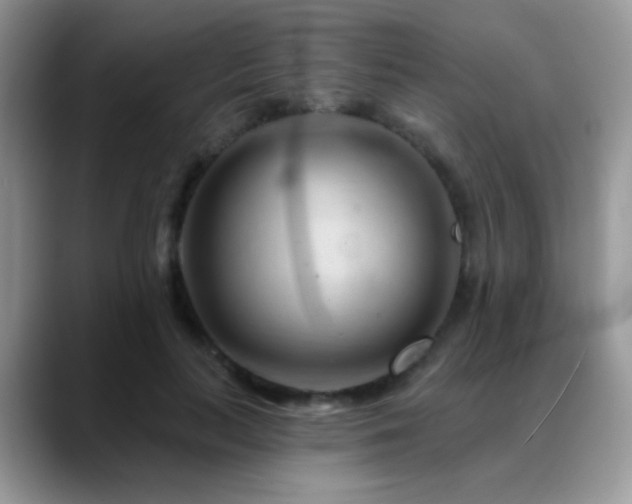 X0000088900647200706081306