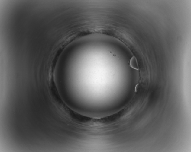 X0000088900648200706081306