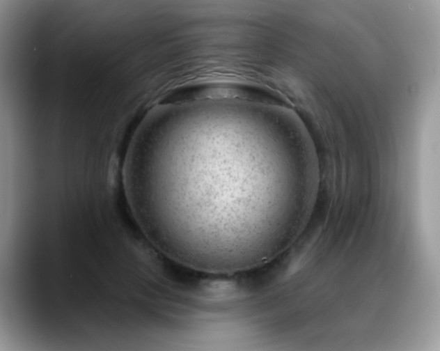 X0000088900649200706081306