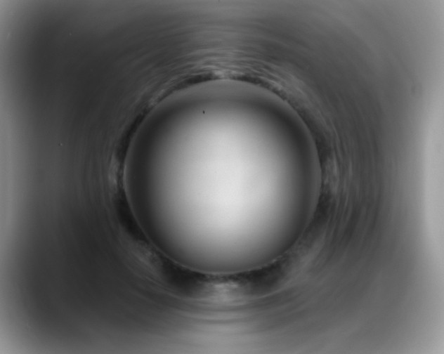 X0000088900650200706081307