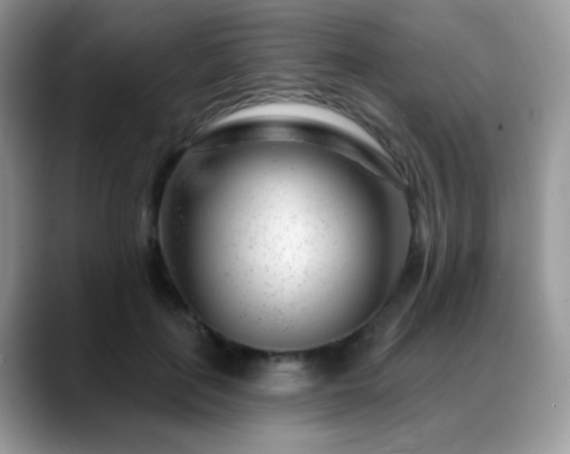 X0000088900651200706081307