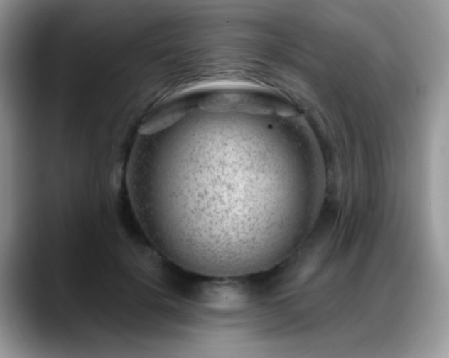 X0000088900652200706081307