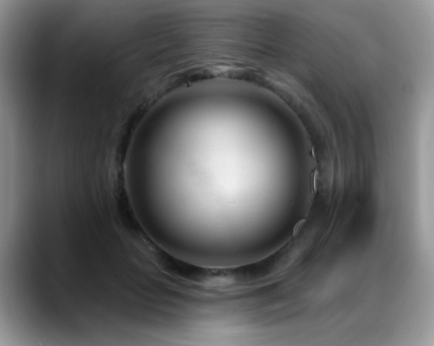 X0000088900653200706081307