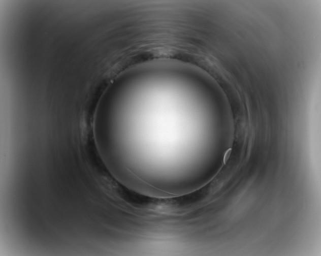 X0000088900655200706081307