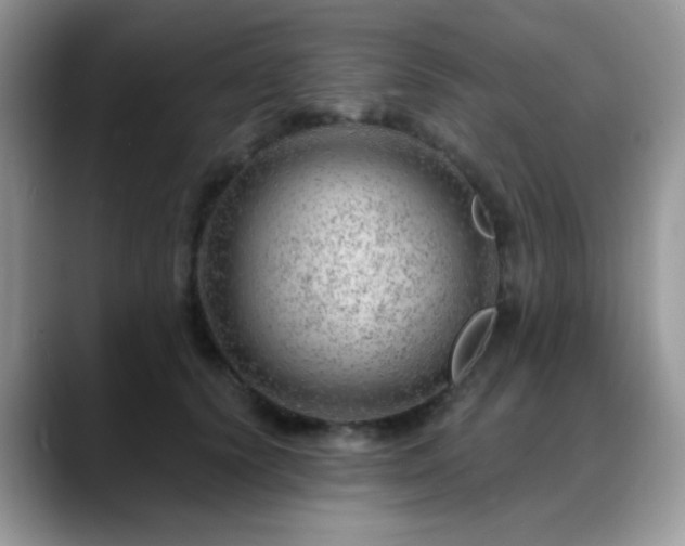 X0000088900656200706081307