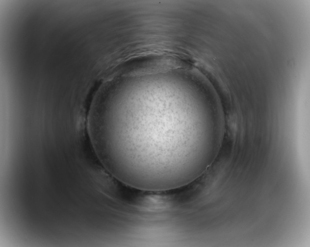 X0000088900657200706081307