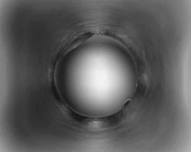 X0000088900658200706081307