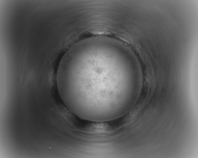 X0000088900659200706081307
