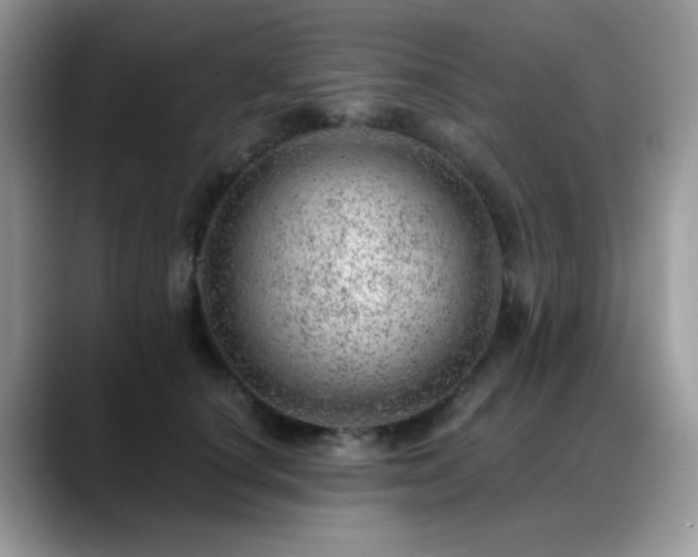 X0000088900660200706081307