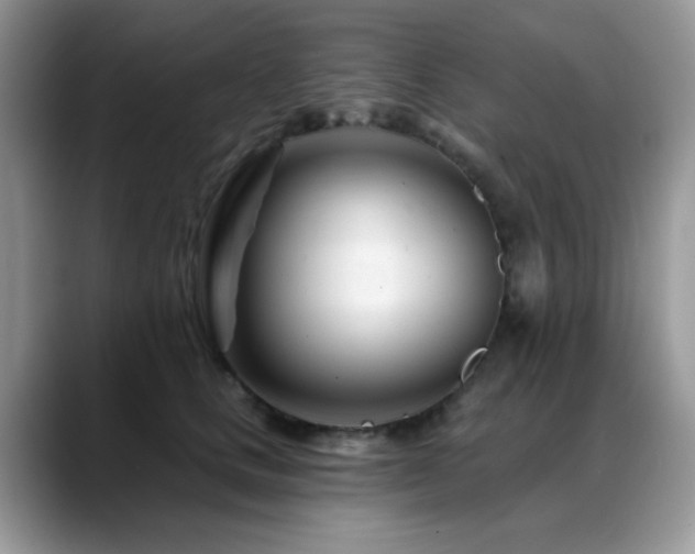 X0000088900661200706081307