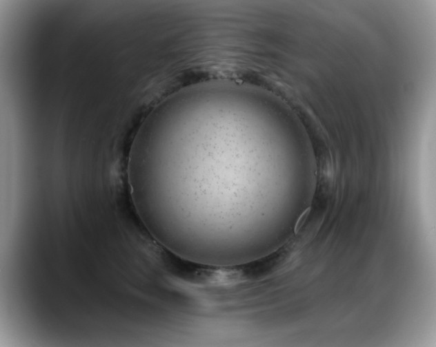 X0000088900663200706081307