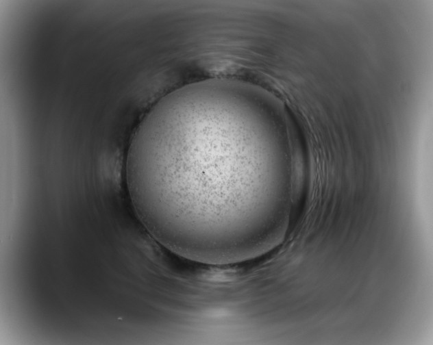 X0000088900664200706081307