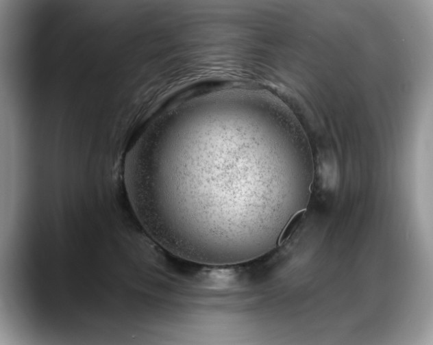 X0000088900665200706081307