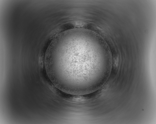 X0000088900666200706081307