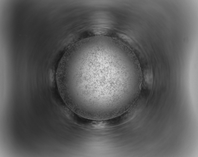 X0000088900667200706081307