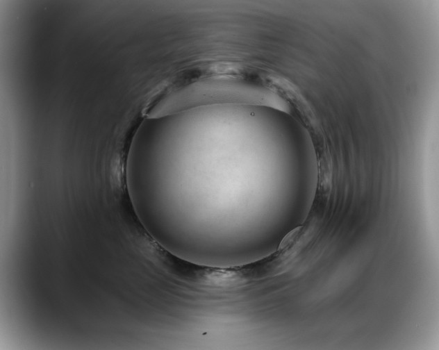 X0000088900669200706081307