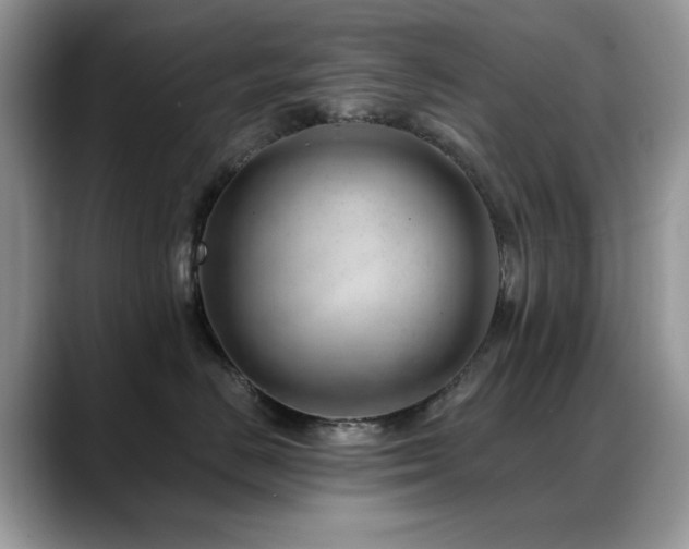 X0000088900670200706081307