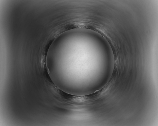 X0000088900671200706081307