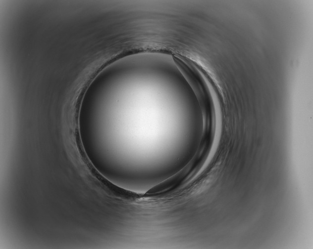 X0000088900673200706081306