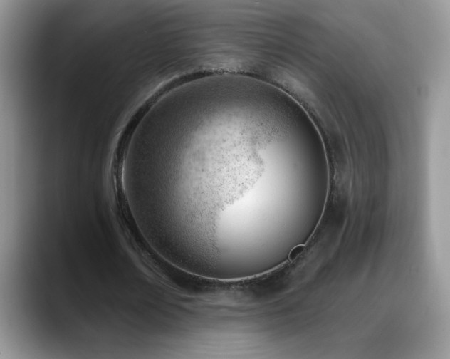 X0000088900674200706081306