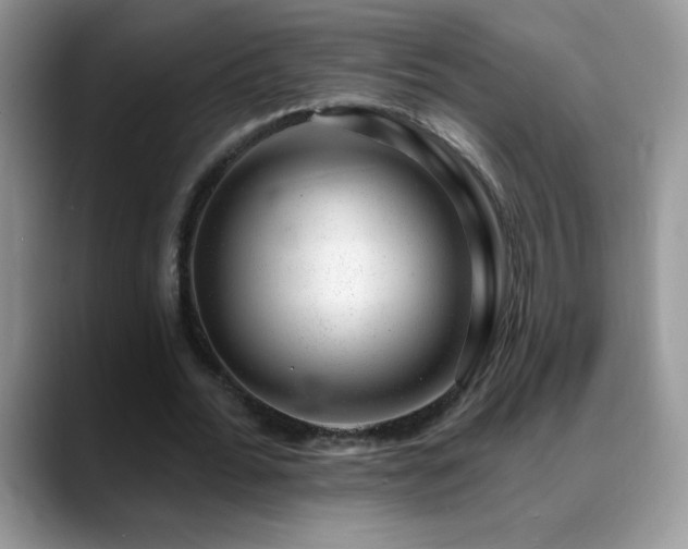 X0000088900676200706081306