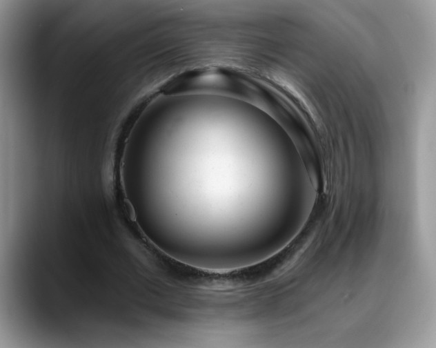 X0000088900677200706081306