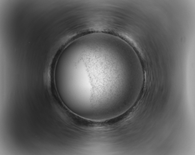 X0000088900678200706081306