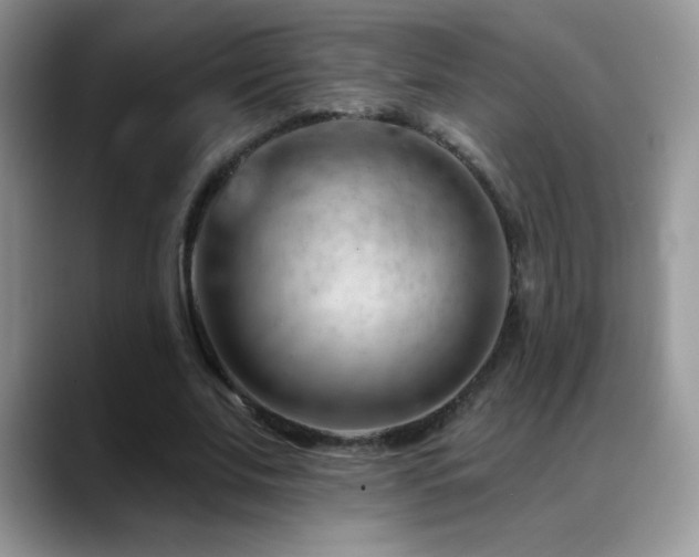 X0000088900679200706081306