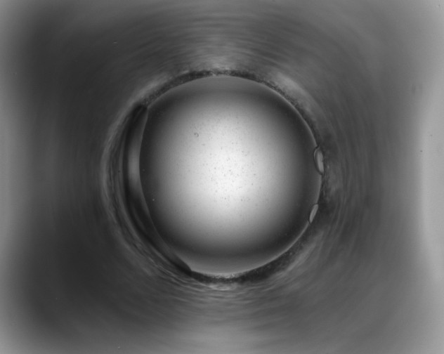 X0000088900680200706081306